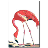 Painting by Numbers Flamingo Animals